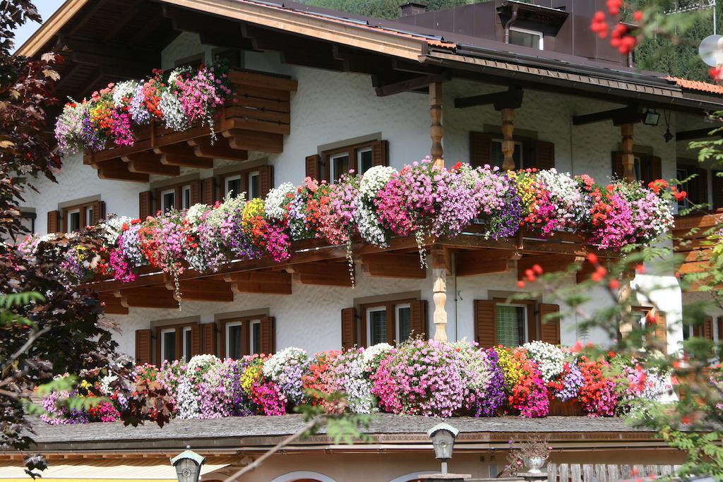 Hotel Mooserhof سيستو المظهر الخارجي الصورة